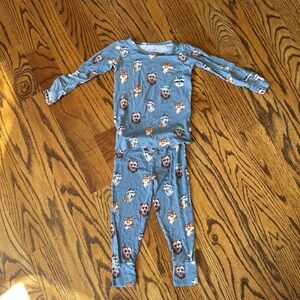 Posh peanut Kids Animal Print two Piece 2 T bears raccoon wolves